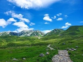 思い出の1ページが輝く『フォトコンテスト』！