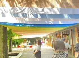 110色の草木染がたなびく「Organic Wind」