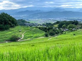 見晴らしの良い農村原風景