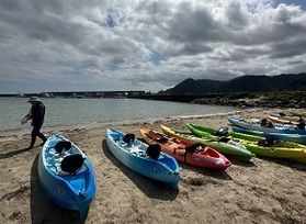 カヌーで海岸清掃に行ってきました!