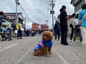 庄内三大祭り 大山犬祭りに参加してきました