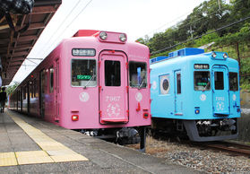 加太の人気者♪ 「めでたい電車」