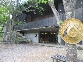 初夏から夏休みへ・・・