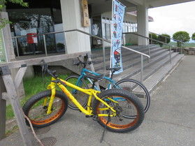 サイクリングで自然を楽しむ