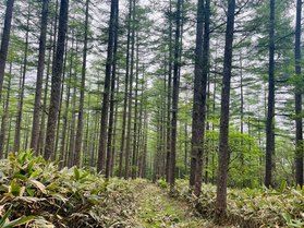 村上山登山に初挑戦!