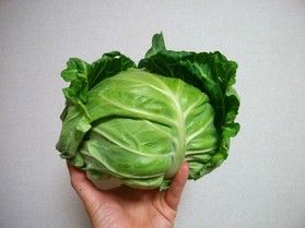 嬬恋キャベツがやって来た!