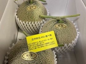 庄内砂丘メロン絶賛販売中!