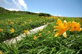 月山ライブカメラ稼働開始しました!