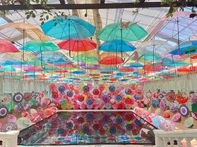 福島県大人気観光スポット　猪苗代ハーブ園