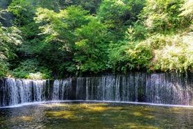 暑い日々。「白糸の滝」で涼みましょう。