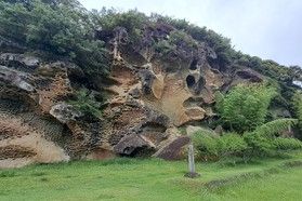 勝浦の道路に現れる謎の壁