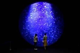 加茂水族館　８月お盆時期の入館について