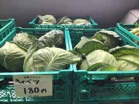 白樺マルシェ（朝市）開催中！嬬恋キャべツ買えます！