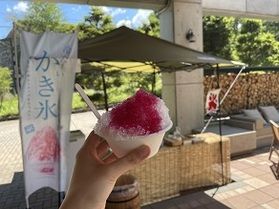 かき氷始めました！！！