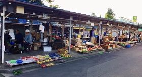 ~~~地元の食品の集まる朝市~~~