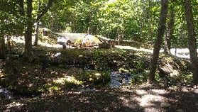 鹿沢の森で夏しましょう！！
