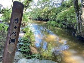 【遠野探訪】～カッパ淵編～