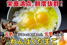 わんぱく卵の食べ比べ!