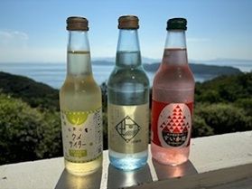 この夏飲んで欲しい!ご当地サイダー🍹
