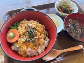レストハウスうしお「生うに丼」