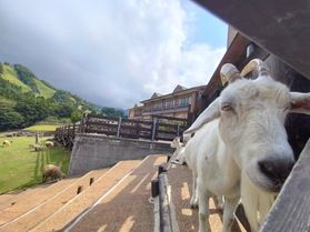 見て触って癒されよう♪~但馬牧場公園~