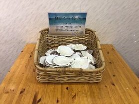 旅の想い出にホタテペイントしませんか!!