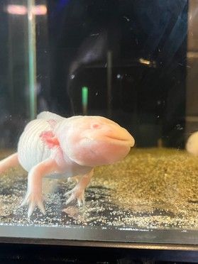 Iet's 蒲郡( *´艸`)、、クイズ?