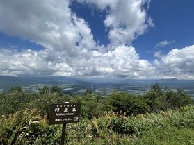 今の村上山の自然事情⛰️