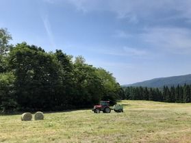 高原の絶景
