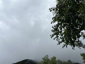 本日の奥日光/Today's OKUNIKKO