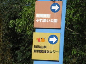子供が大はしゃぎ!ふれあい公園