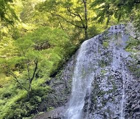 景勝地、白猪の滝