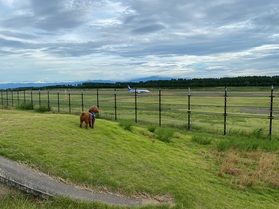 庄内空港お散歩コースの紹介