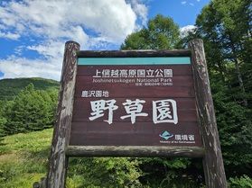 野草園を散策しよう♪