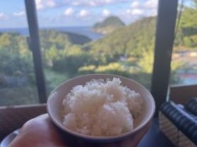 ふっくら♪ご飯新米になってます♪