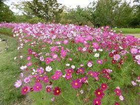 安曇野にも秋が近づいてきています！