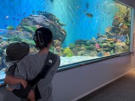 海の生物をもっと身近に