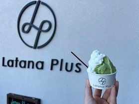 ジェラート「Latana Plus」
