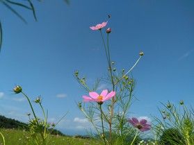 天高し 敬老会