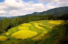 『うへ山の棚田』~日本の棚田 100選~
