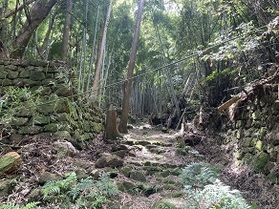 気軽に熊野古道さんぽ「小狗子峠」