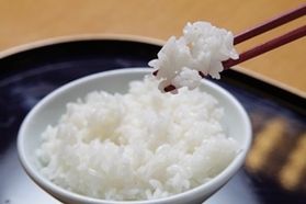 山形の代表的お米3種「はえぬき・つや姫・雪若丸」