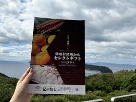 紀州加太Qパック秋冬パンフレット完成しました🍊