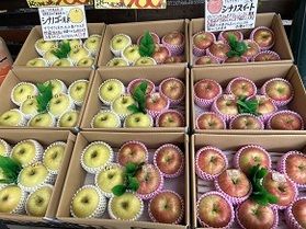 秋限定！長野の秋の味覚をお土産にいかがですか！