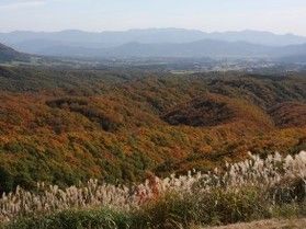 もうすぐ紅葉シーズン! おススメの紅葉スポットをご紹介♪