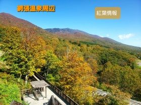 網張紅葉+おまけ
