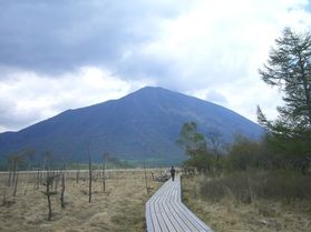紅葉の後は本格的な冬の到来です