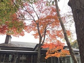 本日の奥日光