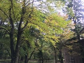 本日の奥日光／Today's Okunikko