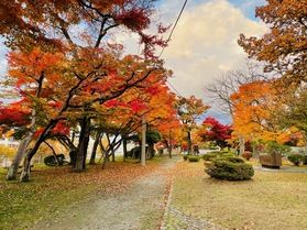 岩手公園の美しい紅葉